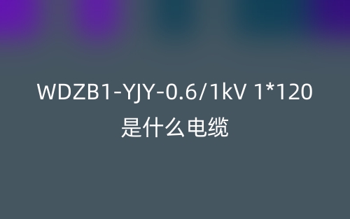 WDZB1-YJY-0.6/1kV 1*120是什么電纜？(圖1)