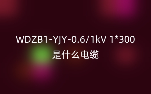 WDZB1-YJY-0.6/1kV 1*300是什么電纜？(圖1)