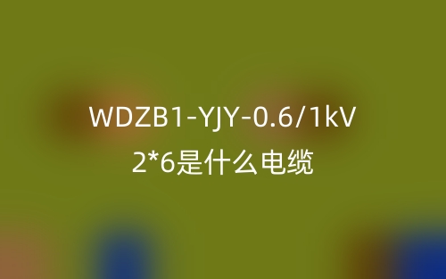 WDZB1-YJY-0.6/1kV 2*6是什么電纜？(圖1)