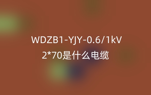 WDZB1-YJY-0.6/1kV 2*70是什么電纜？(圖1)