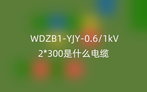 WDZB1-YJY-0.6/1kV 2*300是什么電纜？(圖1)