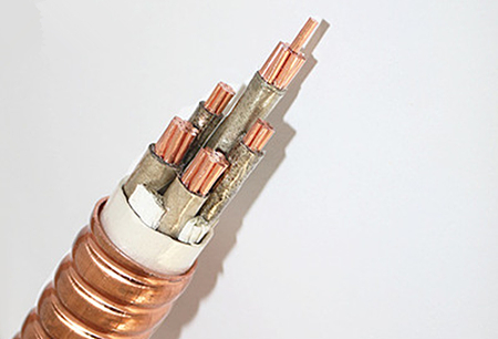 單芯電纜與多芯電纜的區別是什么？(圖5)